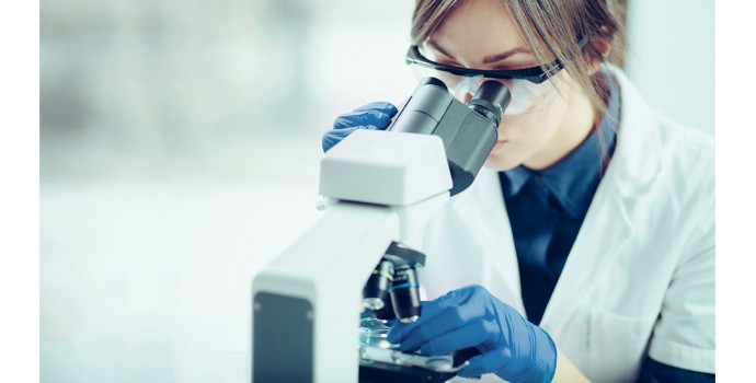 Accordi con case produttrici